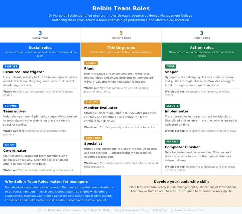 Belbin Team Roles infographic showing all nine roles across Social, Thinking and Action categories