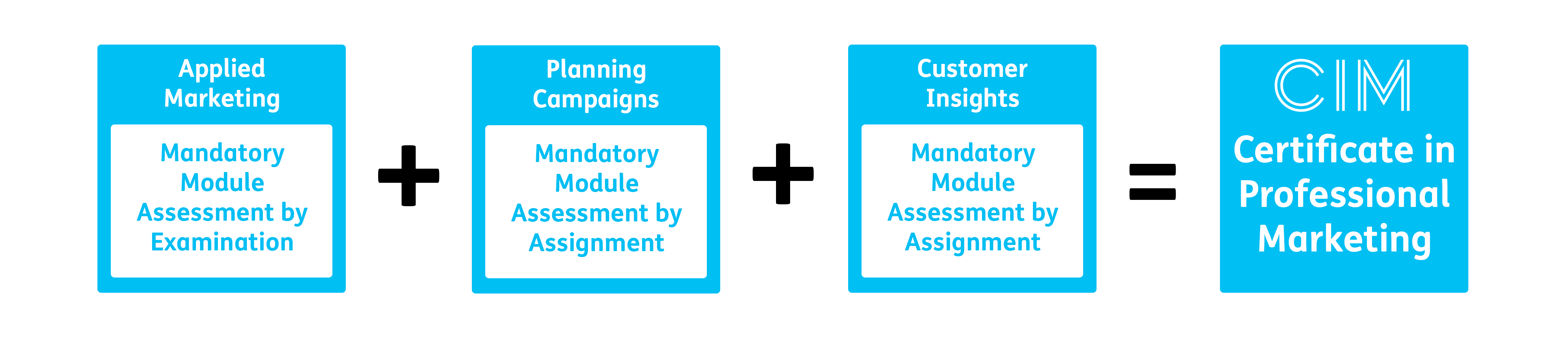 CIM Level 4 Certificate in Professional Marketing Structure