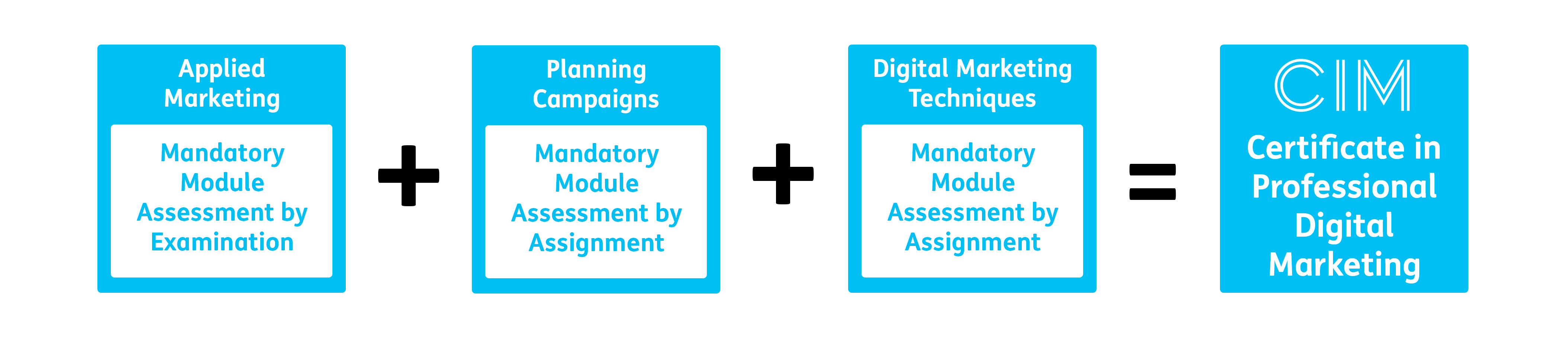 CIM Certificate in Professional Digital Marketing Structure